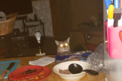 20180130_023257