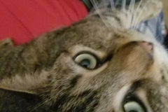 20180227_123341137133171