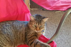 20180227_1611382108194270